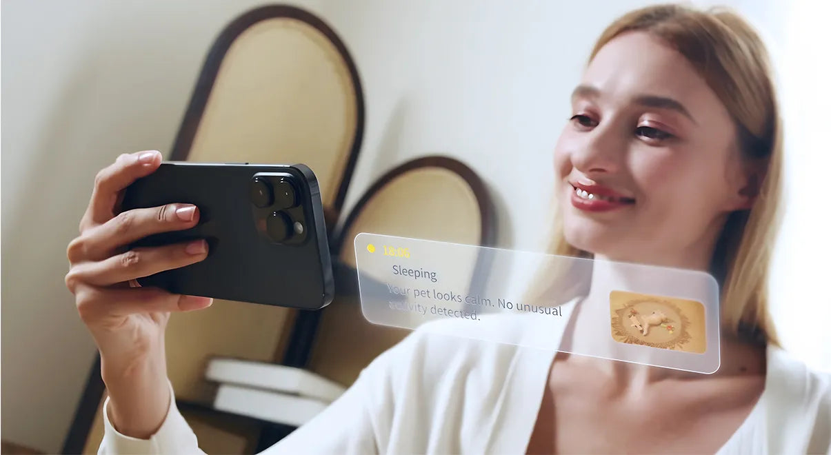 <h2>Daily Pet Report</h2>