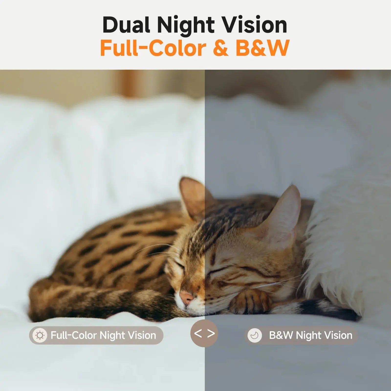 PickFun A3 AI Pet Companion Robot PickFun