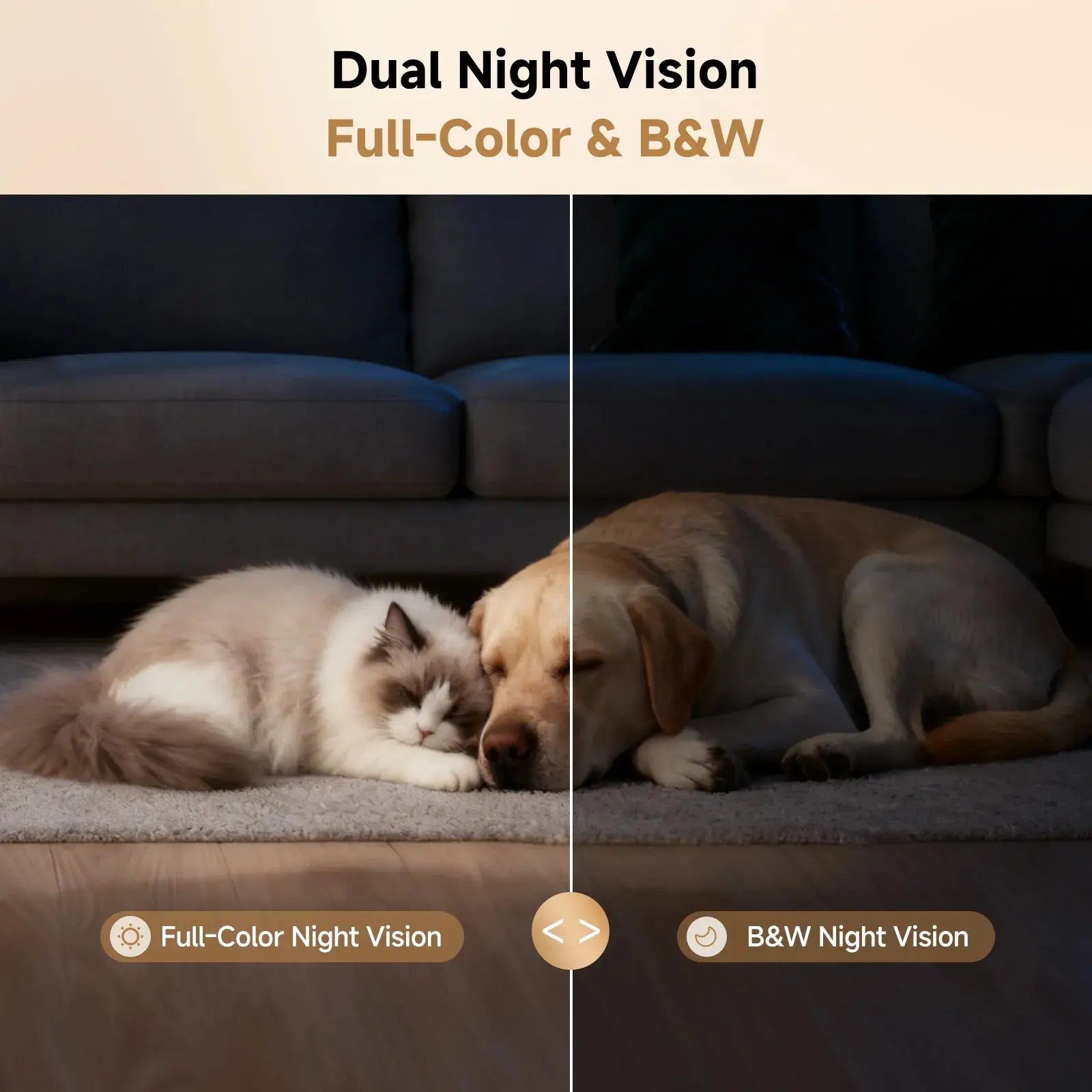 PickFun Pmate Pet Companion Robot PickFun